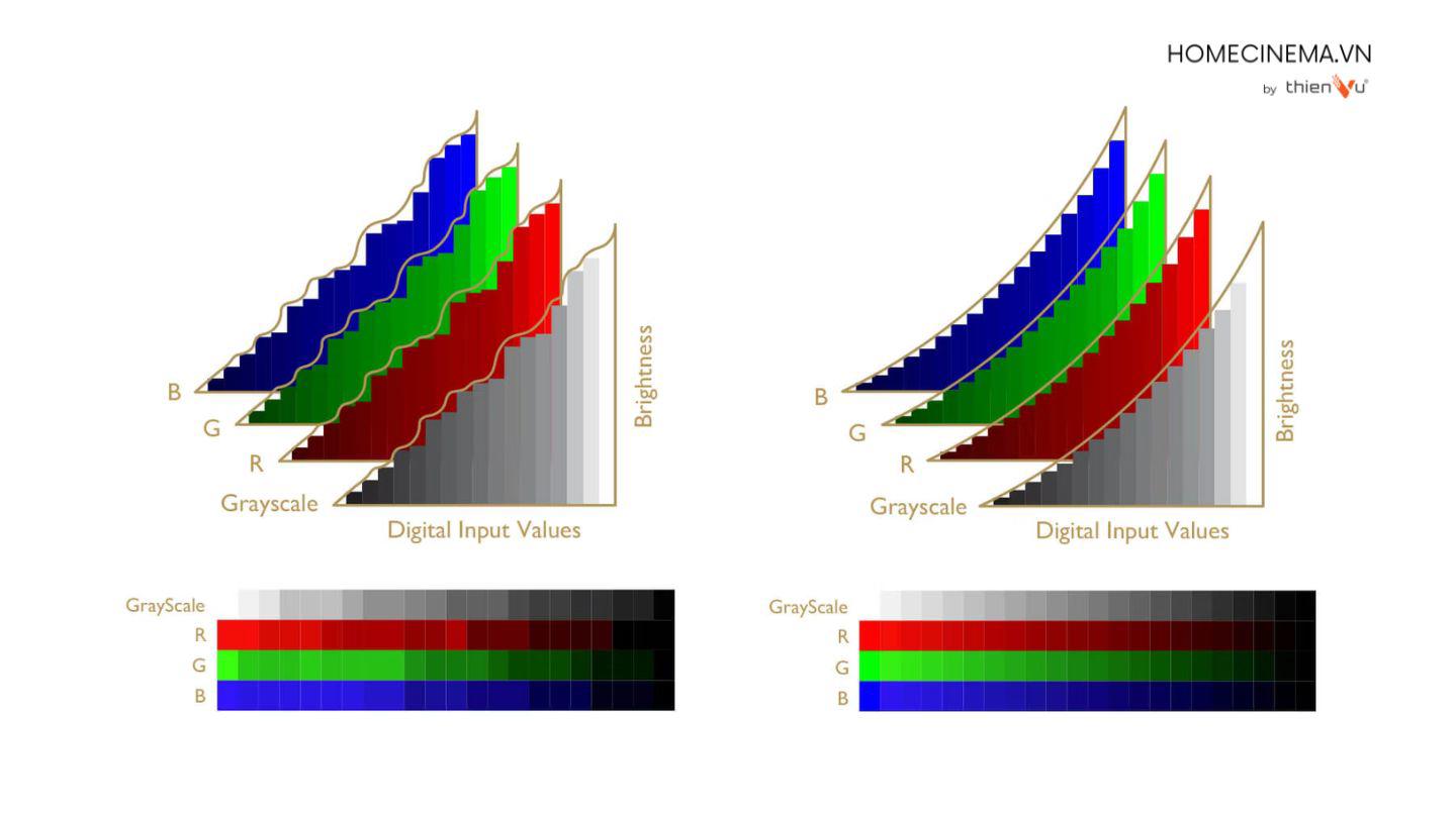 vai-tro-cua-gamma-may-chieu