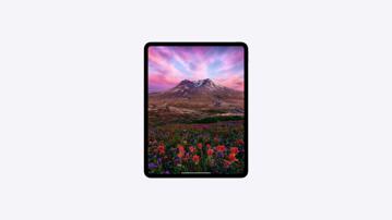 Ảnh nhỏ: ipad-pro-glass-select-gallery-1-202405-min
