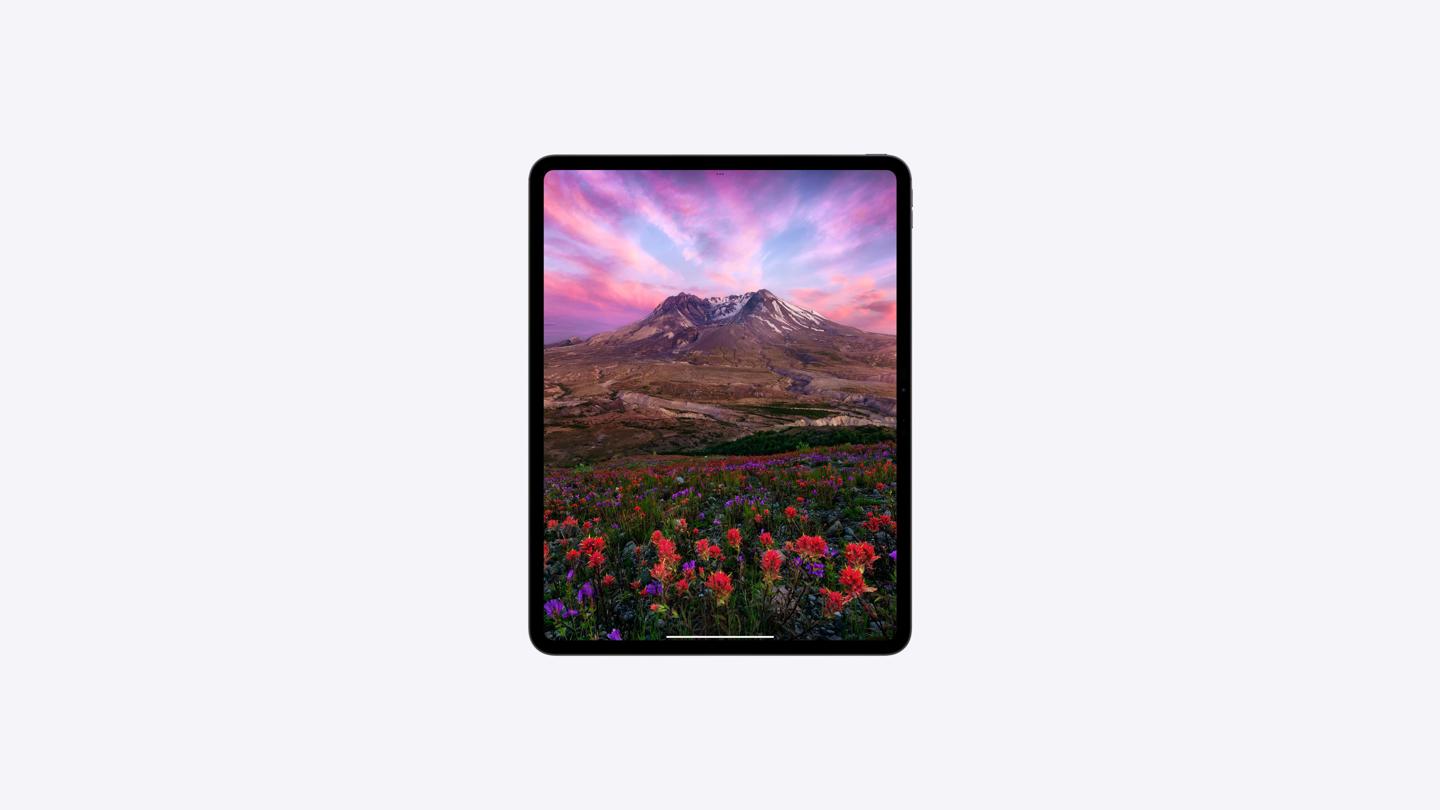 ipad-pro-glass-select-gallery-1-202405-min